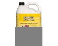 Septone Baronia Blossom - Commercial Grade Disinfectant